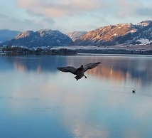 Richter Pass Beach Resort