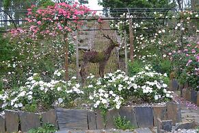 Tranquil Gaden Cottage Near Pdrogao Grande