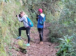 Jay's Guest House II