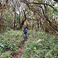 Jay's Guest House II