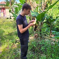 Jay's Guest House II