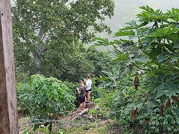 Jay's Guest House II