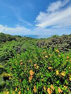 Villa Roca Boutique Resort & Suites-ADULT ONLY