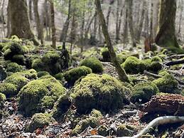 TOCORO. Mt.Fuji CAMP&GLAMPING