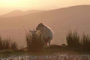 Nest Holiday Hideaway Wren Cottage Stunning Area!