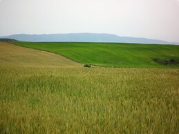 Casa Mimi Garden With a View Cuglieri Sardinia
