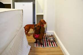 Transamerica Fit Lafaiete