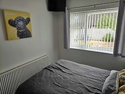 Modern, Spacious Walking Distance to Castle & Town