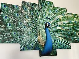 Penthouse 2-bed Apartment in Lido di Ostia