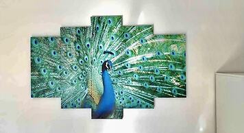 Penthouse 2-bed Apartment in Lido di Ostia