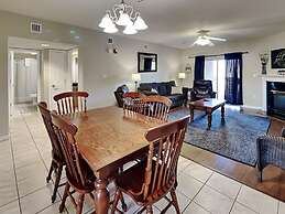 Bear Crossing by VTrips