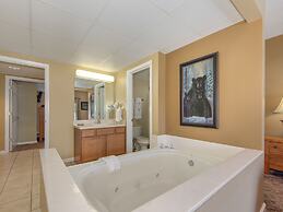 Bear Crossing by VTrips