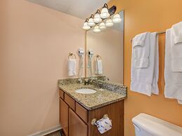 Bear Crossing by VTrips