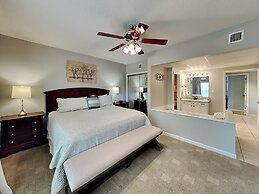 Bear Crossing by VTrips