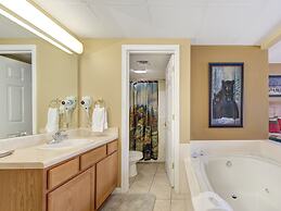 Bear Crossing by VTrips