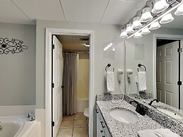 Bear Crossing by VTrips