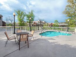 Bear Crossing by VTrips