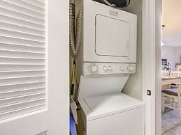 Bear Crossing by VTrips