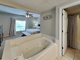 Bear Crossing by VTrips