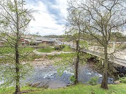 Bear Crossing by VTrips