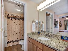 Bear Crossing by VTrips