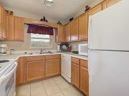 Bear Crossing by VTrips