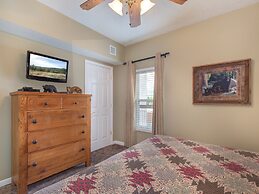 Bear Crossing by VTrips