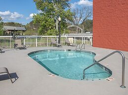 Bear Crossing by VTrips