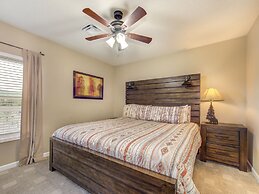 Bear Crossing by VTrips