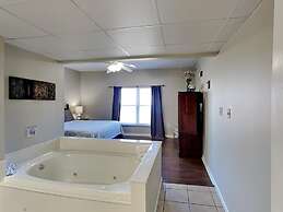 Bear Crossing by VTrips