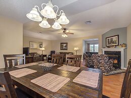 Bear Crossing by VTrips