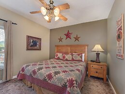 Bear Crossing by VTrips