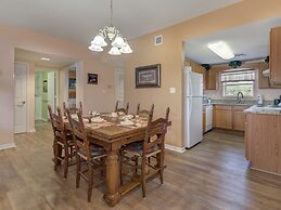 Bear Crossing by VTrips