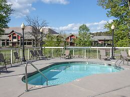 Bear Crossing by VTrips