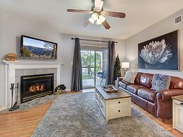 Bear Crossing by VTrips