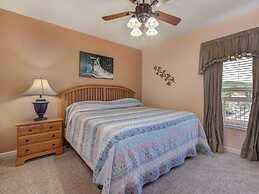 Bear Crossing by VTrips