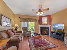 Bear Crossing by VTrips