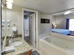 Bear Crossing by VTrips