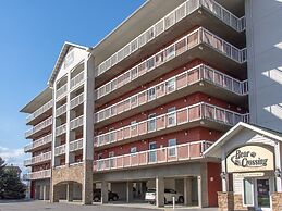 Bear Crossing by VTrips