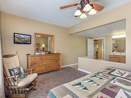 Bear Crossing by VTrips