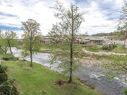 Bear Crossing by VTrips