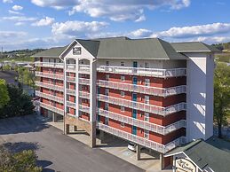 Bear Crossing by VTrips