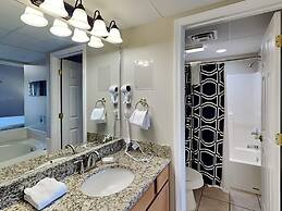 Bear Crossing by VTrips