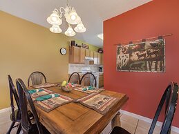 Bear Crossing by VTrips