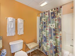 Bear Crossing by VTrips