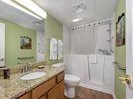 Bear Crossing by VTrips