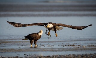 Beach Port - Lovely Villa with Peaceful Porch Views & Tennis Court by 