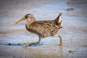 Beach Port - Lovely Villa with Peaceful Porch Views & Tennis Court by 