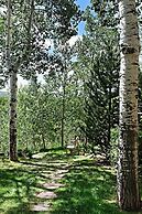 New Listing! West End Jewel - Steps to bus to 4 ski areas!(4860 3 Bedr