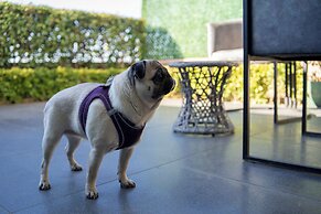 La Cielo Hotel Bostancı